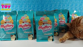 Squishmallows Mystery Squad Breakfast Besties Blind Bag Plushies Opening  PSToyReviews [upl. by Akimet]