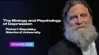 Robert Sapolsky The Biology and Psychology of Depression [upl. by Ahsitniuq]