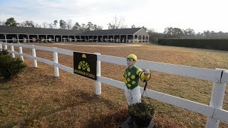 Augusta Outdoors Horse Racing in Aiken South Carolina and Cot Campbell [upl. by Sikko]