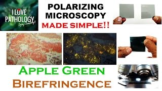 POLARIZING MICROSCOPY made SIMPLE Apple Green Birefringence [upl. by Ijar]