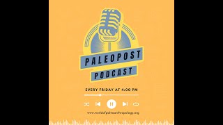 The PaleoPost Podcast Returns Homo habilis King Arthur and Homo naledi WooHoo [upl. by Yetta]