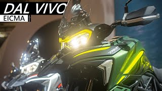 BENELLI  La Nuova Gamma TRK 800 702 702 X per il 2023  EICMA 2022 [upl. by Lune539]