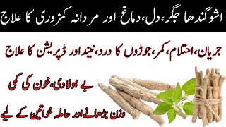 Asgandh nagori ke fayde in UrduHindi  ashwagandha ke fayde Winter cherry root benefits Ashwagandha [upl. by Allisan]