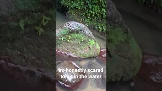 Waterfall hike on Oahu Maunawili Falls [upl. by Staci]