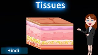 Tissues  3D animated explanation  class 9th amp 11th science  Tissues [upl. by Nesta]