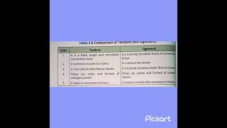 Difference between tendon and ligaments tenton ligament [upl. by Zosima]