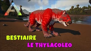 Ark Survival Evolved  FR  Bestiaire  Le Thylacoleo [upl. by Jocelyne]