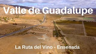 Valle de Guadalupe  Ensenada 4K  Armando la Ruta [upl. by Hertzog]