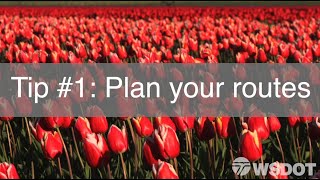 2019 Skagit Valley Tulip Festival How to get around [upl. by Trescha]