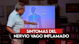 NERVIO VAGO INFLAMADO [upl. by Saxet592]