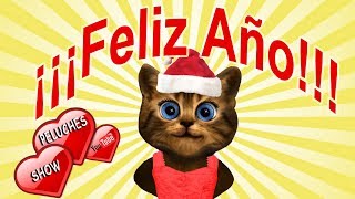 feliz año nuevo  gato dando mensaje de año nuevo  reflexiones  mis deseos para ti  whatsapp [upl. by Ilana152]