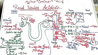 Nephrology medicine lecture 9 🛑 Renal tubular acidosis RTA 1 2 4 nephrology medicine mbbs [upl. by Kimmi]