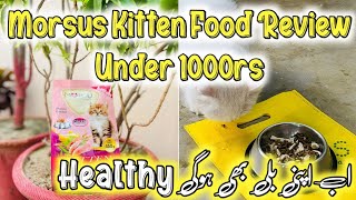 Morsus Kitten amp Cat Dry Food Review Under 1000Rs  Best Dry food Brand for Persian kittens in 2024 [upl. by Maite178]