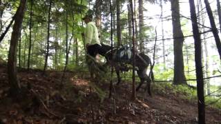 Eselwandern in der Südsteiermark [upl. by Adai]