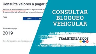 Consultar bloqueo vehicular SRI  ANT [upl. by Colon374]