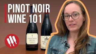 Pinot Noir Everything you need to know  Grapes 101 [upl. by Iinde256]