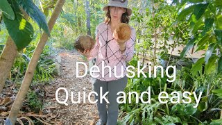 The EASIEST way to dehusk a coconut without buying a new tool [upl. by Pooi]