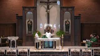 St Matthew Mass Livestream [upl. by Aniez844]