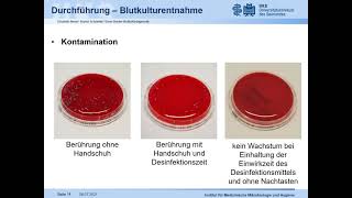 Blutkulturdiagnostik [upl. by Zellner]