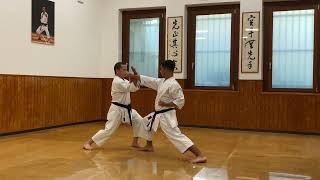 Bassai Dai  Full Karate Kata Explanation with Bunkai  Master Dario Marchini [upl. by Gorrono]