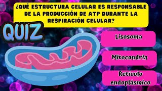 🧬🧠Examen de bioquímica🦠🔬 ¿Cuánto sabes de las biomoléculas y la célula QuiztestExamen UNAM [upl. by Sande440]