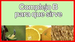 COMPLEJO B para que sirve Alimentos que contienen COMPLEJO B [upl. by Tnarud441]