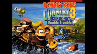 Donkey Kong Country 3  1996 Super Nintendo [upl. by Franzoni]