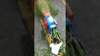 corn stalk cutter machine animal feed pellet making machine farming machine [upl. by Ecargyram]