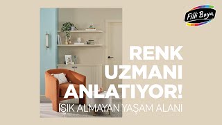 Filli Boya Yılın Renk Paleti 2024 Işık Almayan Yaşam Alanı [upl. by Drice]