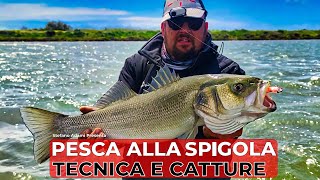 Pesca alla spigola con Stefano Adami Scopri i segreti per le tue catture [upl. by Matthaeus]