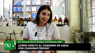 Una investigación de la UNSa permitió identificar la presencia de cianobacterias en el Dique Itiyuro [upl. by Yaniv954]