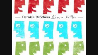 The Pernice Brothers  Cruelty To Animals [upl. by Aveer]