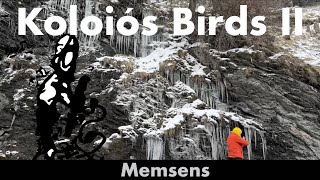 Kolióis Birds Tours II  ICe 3’23” CL Zenert [upl. by Godrich]