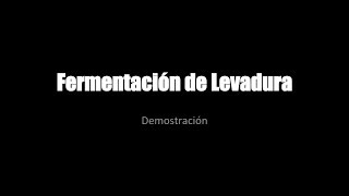 Fermentación de Levadura [upl. by Denie]