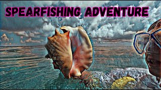 Ep 33 Learning to Spearfish  Adventure in the Florida Keys [upl. by Novonod]