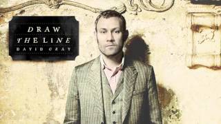 David Gray  Nemesis Official Audio [upl. by Robina]