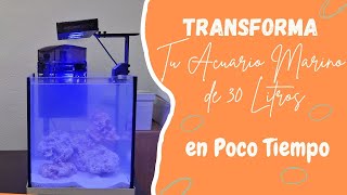 Transforma Tu Acuario Marino de 30 Litros en Poco Tiempo [upl. by Aihsiyt]