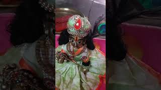 music song love live merepyarenatkhatladdugopal hindudeity funny mereladdugopalormain [upl. by Eneladgam274]