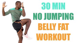 No Jumping Belly Fat Workout 30 Minute Flat Belly Workout [upl. by Ecadnac875]