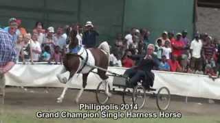 Victory Round Philippolis 2014 Single Harness [upl. by Ethbin]