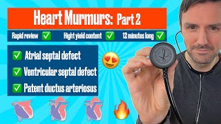 Heart Murmurs and Heart Sounds Visual Explanation for Students [upl. by Schmidt]