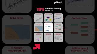 Top 9 Machine Learning Algorithms 2025  Machine Learning Algorithms for Data Science [upl. by Seligmann556]