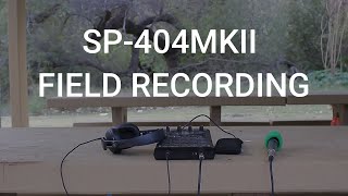 Field Recording with the Roland SP404MKII [upl. by Euginimod]