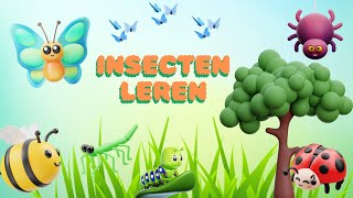 Ontdek de wereld van insecten🦋 Leer alles over insecten🐞Nederlands 🐌Peuters en Kleuters [upl. by Teage]