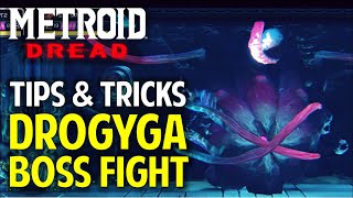 Burenia Boss Fight Guide  How to Defeat Drogyga Tips amp Tricks  Metroid Dread Walkthrough [upl. by Duahsar997]