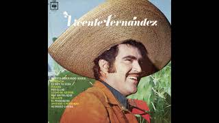 Vicente Fernández  Hermoso Cariño [upl. by Astraea]