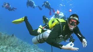 Safari 2024 Red Sea stingray diver center kuwait [upl. by Aeht]