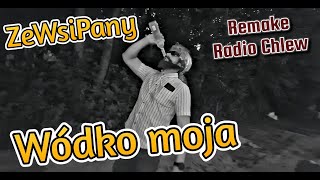 ZeWsiPany  Wódko moja Parodia Masters Żono moja Radio Chlew Remake [upl. by Aliek]