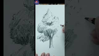 Draw an real tree easily Fast Drawing Step 3 shorts [upl. by Ecnarual195]