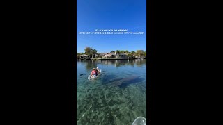 Manatees at Crystal River [upl. by Isidore218]